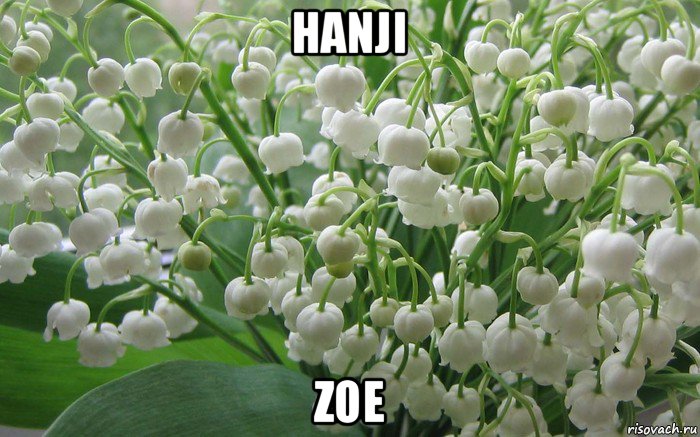 hanji zoe, Мем Ландыши