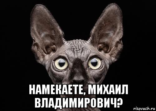  намекаете, михаил владимирович?