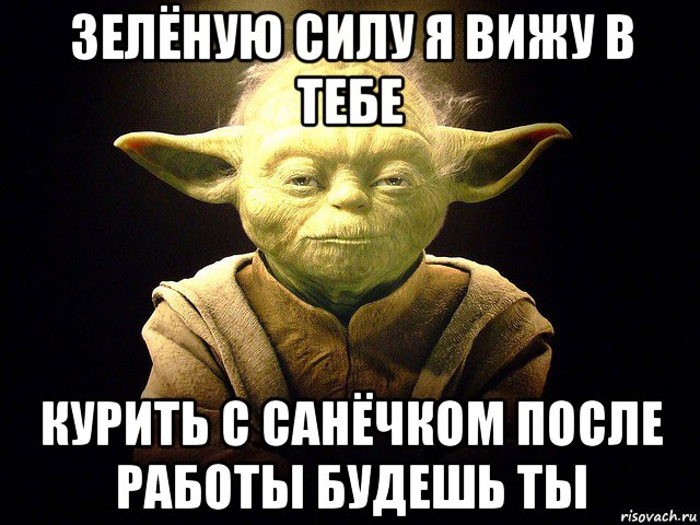 зелёную силу я вижу в тебе курить с санёчком после работы будешь ты, Мем  мастер йода