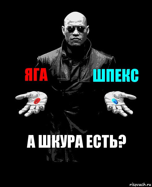 ЯГА ШПЕКС А ШКУРА ЕСТЬ?