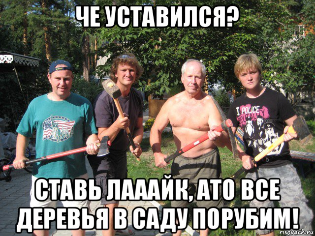 че уставился? ставь лааайк, ато все деревья в саду порубим!