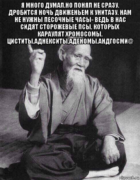 я много думал.но понял не сразу. дробится ночь движеньем к унитазу. нам не нужны песочные часы- ведь в нас сидят сторожевые псы, которых караулят хромосомы, циститы,аднекситы,аденомы.андгосми@ , Мем Монах-мудрец (сэнсей)