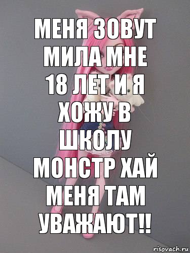 меня зовут Мила мне 18 лет и я хожу в школу монстр хай меня там уважают!!