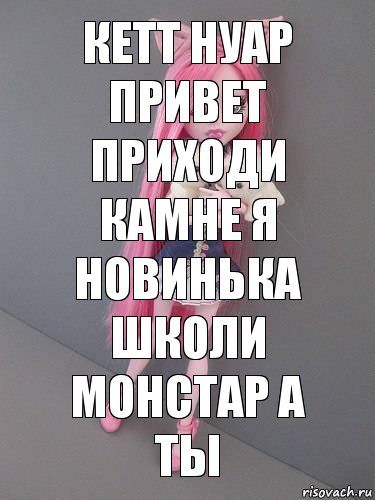 КЕТТ НУАР ПРИВЕТ ПРИХОДИ КАМНЕ Я НОВИНЬКА ШКОЛИ МОНСТАР А ТЫ, Комикс монстер хай новая ученица