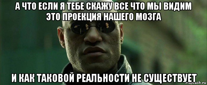 а что если я тебе скажу все что мы видим это проекция нашего мозга и как таковой реальности не существует, Мем  морфеус