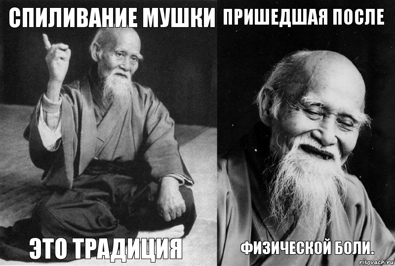 Спиливание мушки Это традиция Пришедшая после Физической боли., Комикс Мудрец-монах (4 зоны)