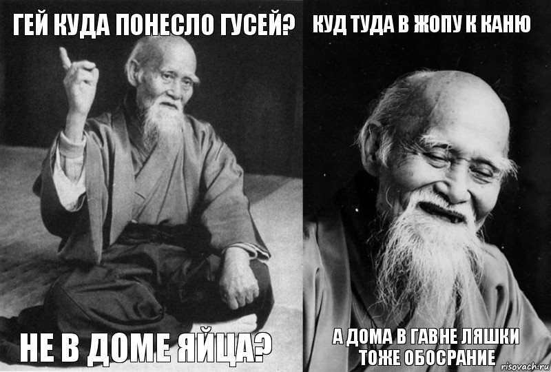 Гей куда понесло гусей? Не в доме яйца? Куд туда в ЖОПУ к каню А дома в гавне ляшки тоже обосрание, Комикс Мудрец-монах (4 зоны)