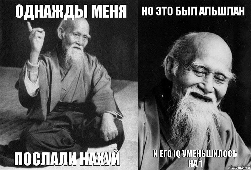 Однажды меня послали нахуй Но это был Альшлан И его iq уменьшилось на 1, Комикс Мудрец-монах (4 зоны)