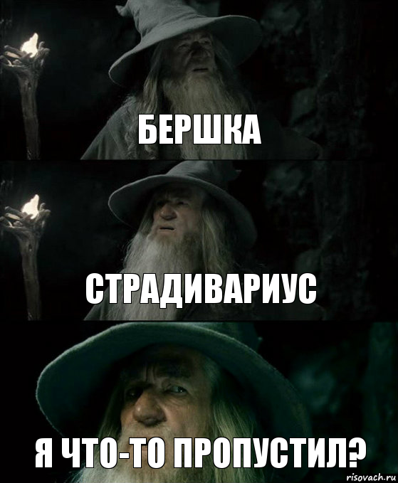 Бершка Страдивариус Я что-то пропустил?, Комикс Гендальф заблудился