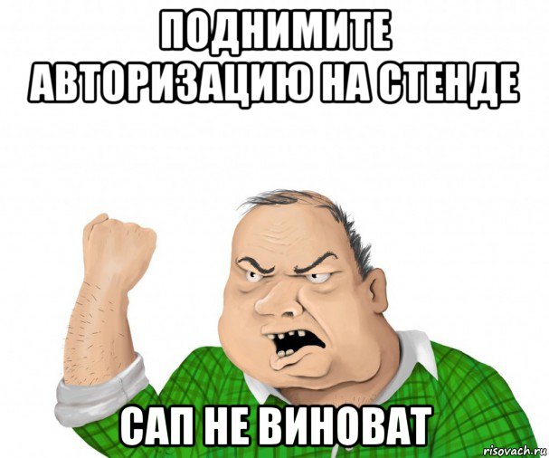 поднимите авторизацию на стенде сап не виноват, Мем мужик