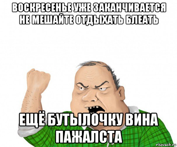 воскресенье уже заканчивается не мешайте отдыхать блеать ещё бутылочку вина пажалста, Мем мужик