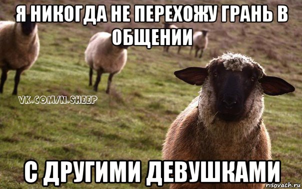 я никогда не перехожу грань в общении с другими девушками, Мем  Наивная Овца