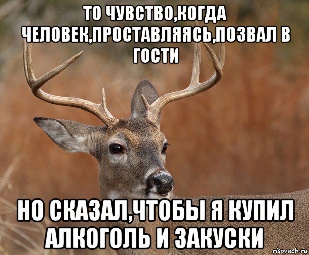 то чувство,когда человек,проставляясь,позвал в гости но сказал,чтобы я купил алкоголь и закуски, Мем  Наивный Олень v2