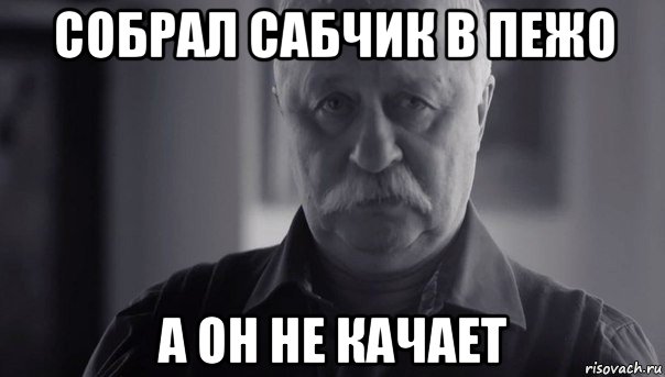 собрал сабчик в пежо а он не качает, Мем Не огорчай Леонида Аркадьевича