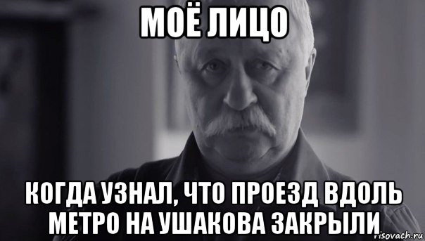 моё лицо когда узнал, что проезд вдоль метро на ушакова закрыли, Мем Не огорчай Леонида Аркадьевича