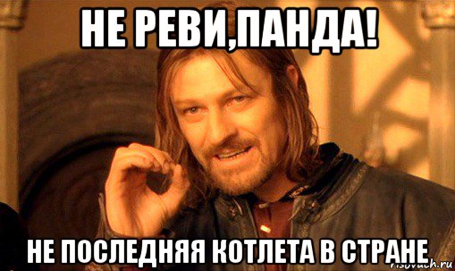 не реви,панда! не последняя котлета в стране, Мем Нельзя просто так взять и (Боромир мем)