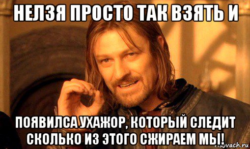 нелзя просто так взять и появилса ухажор, который следит сколько из этого сжираем мы!, Мем Нельзя просто так взять и (Боромир мем)