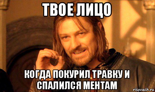 твое лицо когда покурил травку и спалился ментам, Мем Нельзя просто так взять и (Боромир мем)