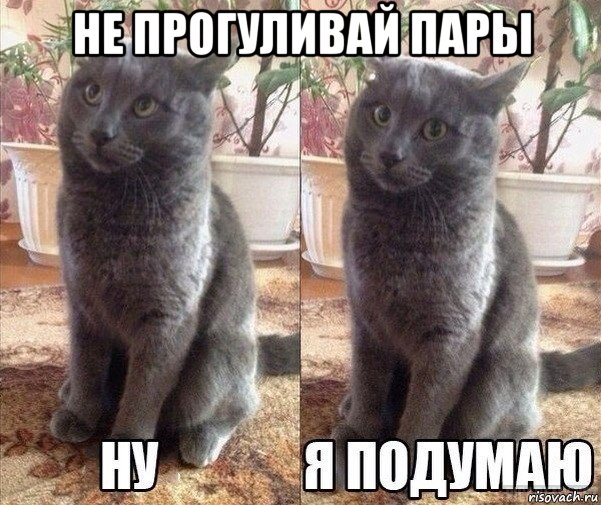 не прогуливай пары , Мем Ну я подумаю