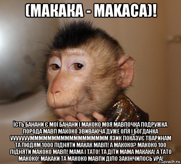 (maкака - маkaca)! їсть банани є мої банани і макоко моя мавпочка подружка порода мавп макоко звиваюча дуже оля і богданка ууууууумммммммммммммммммм язик показує тваринам та людям 1000 підняти макак мавп! а макоко? макоко 100 підняти макоко мавп! мама і тато! та діти мама макака! а тато макоко! макаки та макоко мавпи діло закінчилось ура!