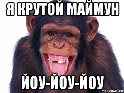 я крутой маймун йоу-йоу-йоу