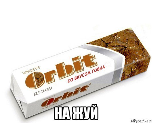  на жуй, Мем орбит