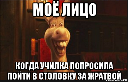 моё лицо когда училка попросила пойти в столовку за жратвой, Мем Осел из Шрека