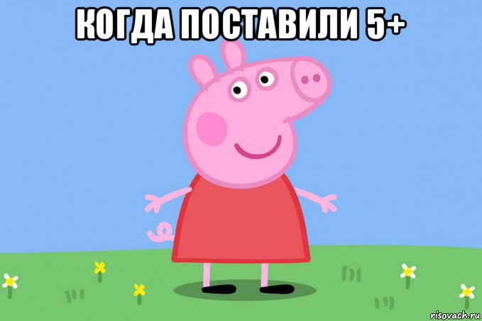 когда поставили 5+ , Мем Пеппа