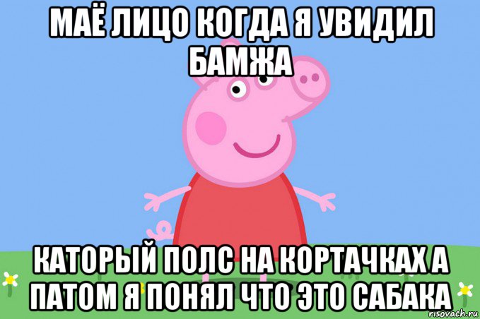 маё лицо когда я увидил бамжа каторый полс на кортачках а патом я понял что это сабака, Мем Пеппа