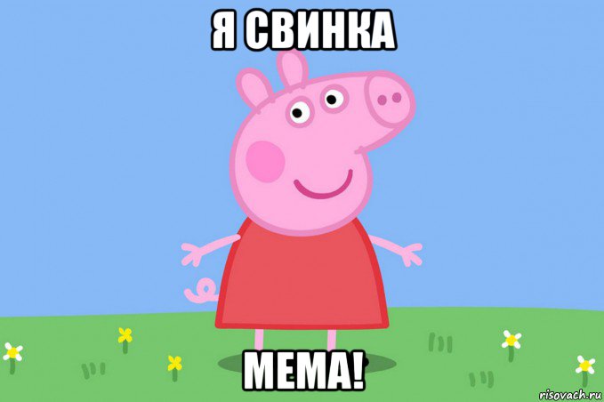 я свинка мема!