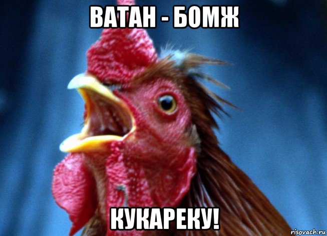 ватан - бомж кукареку!, Мем Петух