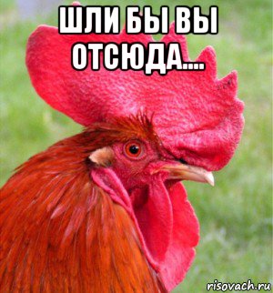 шли бы вы отсюда.... 
