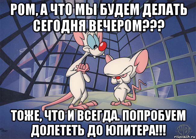 ром, а что мы будем делать сегодня вечером??? тоже, что и всегда. попробуем долететь до юпитера!!!, Мем ПИНКИ И БРЕЙН