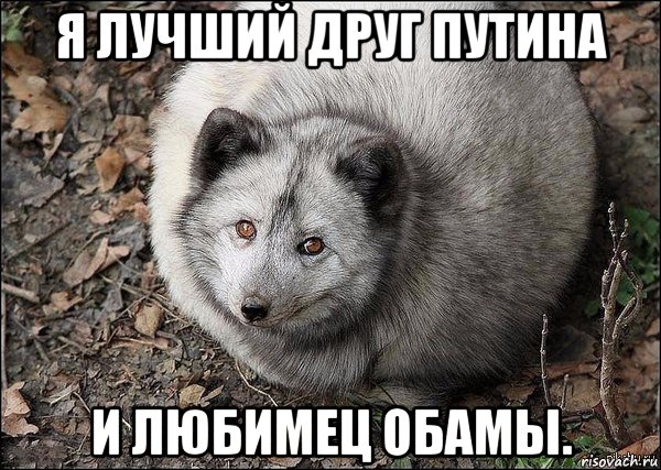 я лучший друг путина и любимец обамы.