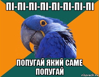 пі-пі-пі-пі-пі-пі-пі-пі попугай який саме попугай, Мем Попугай параноик