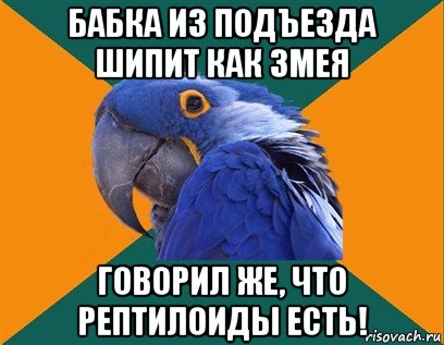 бабка из подъезда шипит как змея говорил же, что рептилоиды есть!, Мем Попугай параноик