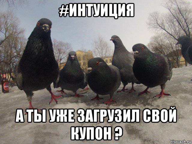 #интуиция а ты уже загрузил свой купон ?