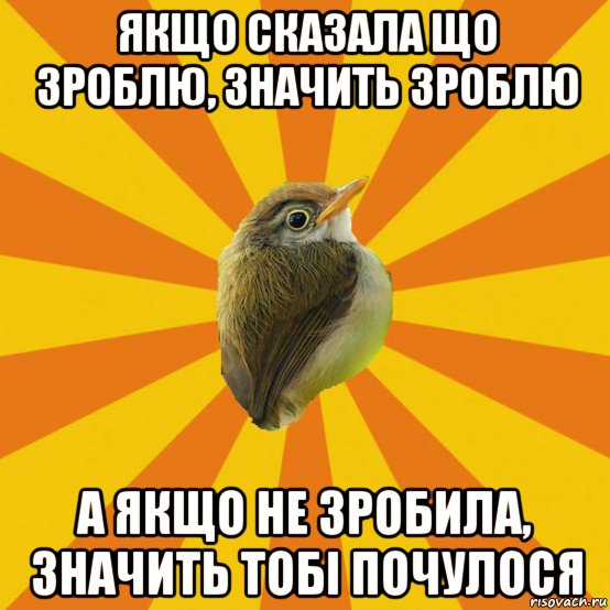 якщо сказала що зроблю, значить зроблю а якщо не зробила, значить тобі почулося, Мем Птичка