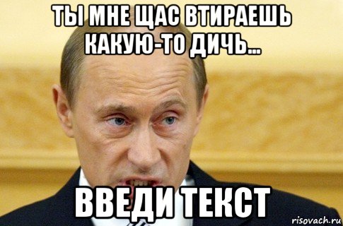 ты мне щас втираешь какую-то дичь... введи текст, Мем путин