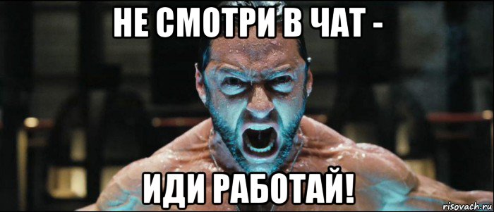 не смотри в чат - иди работай!, Мем работа