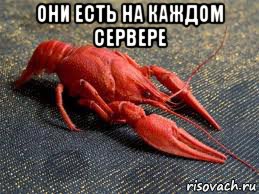 они есть на каждом сервере 