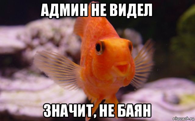 админ не видел значит, не баян