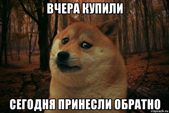 вчера купили сегодня принесли обратно, Мем SAD DOGE