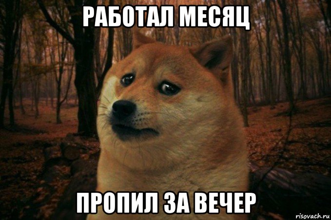 работал месяц пропил за вечер, Мем SAD DOGE