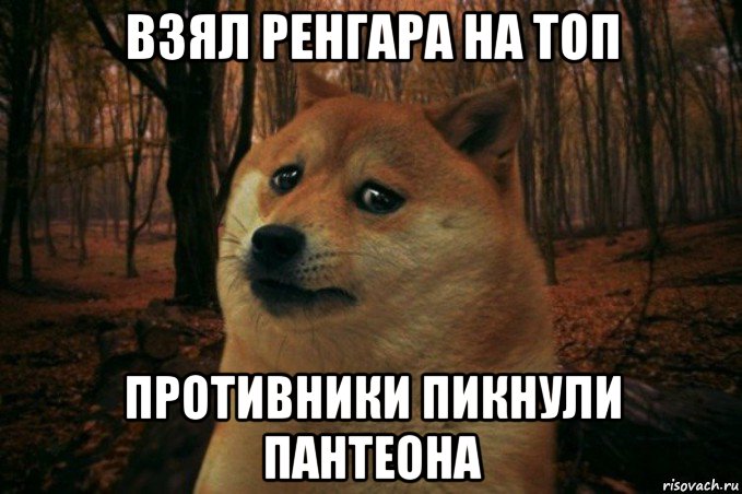 взял ренгара на топ противники пикнули пантеона, Мем SAD DOGE