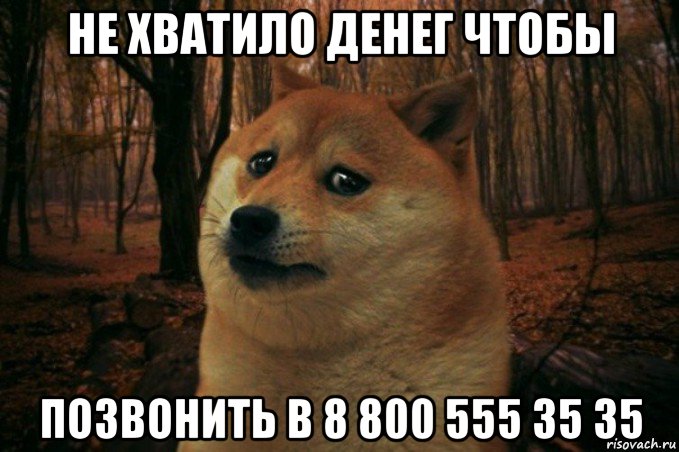 не хватило денег чтобы позвонить в 8 800 555 35 35, Мем SAD DOGE