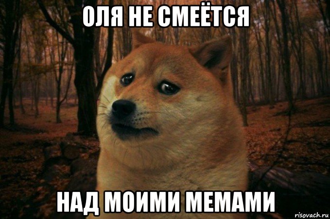 оля не смеётся над моими мемами, Мем SAD DOGE