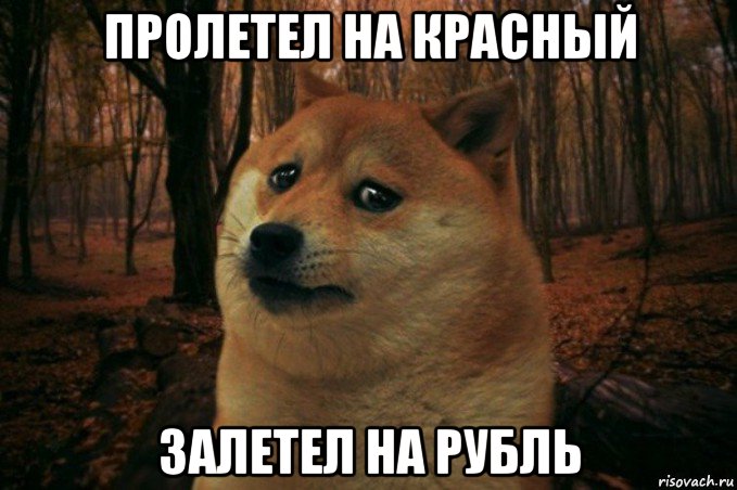 пролетел на красный залетел на рубль, Мем SAD DOGE