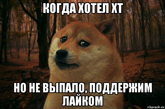 когда хотел хт но не выпало, поддержим лайком, Мем SAD DOGE