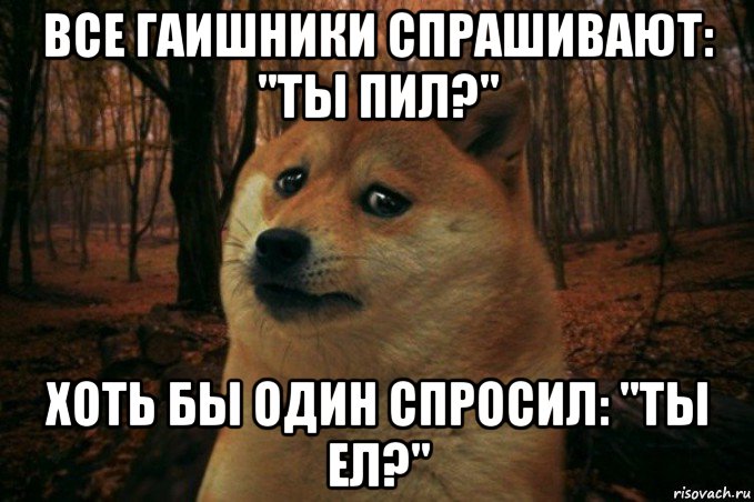 все гаишники спрашивают: "ты пил?" хоть бы один спросил: "ты ел?", Мем SAD DOGE